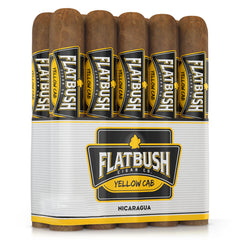 Collection image for: Flatbush